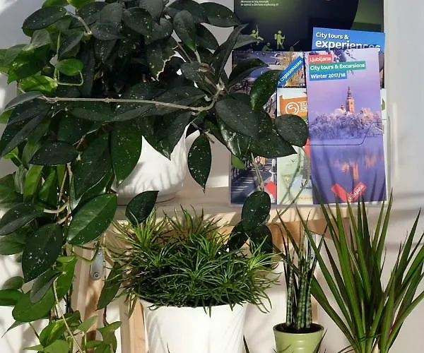 Lejlighed With Parking Ljubljana