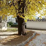 With Parking شقة *