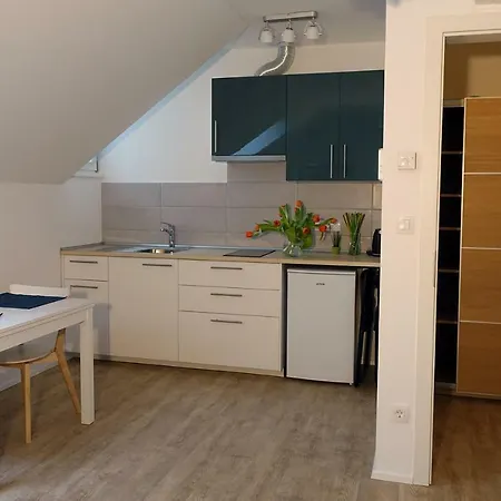 With Parking Ljubljana