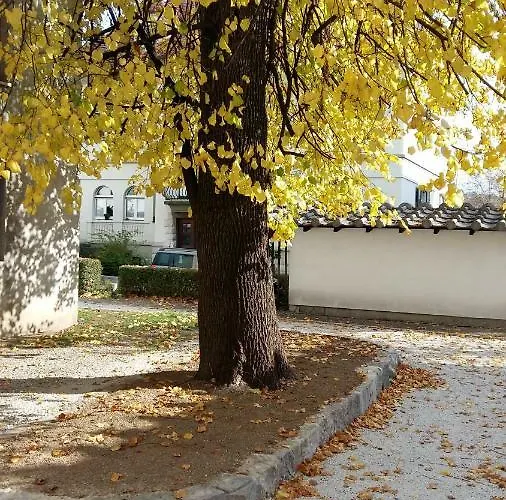 With Parking דירה *