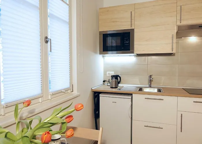 With Parking * לובליאנה